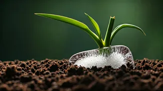 Free Hydration Might Cost You Broken Stems