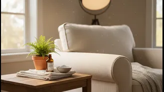 Monsoon Cleaning Tips That Help Fight Dampness Without Overusing Chemicals