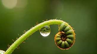 Related Stories banner