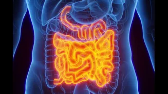 Sintomas que podem ser causados pela síndrome do intestino irritável