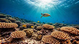 Soft Adventure Starts Underwater In The Andamans