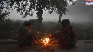 Are Rajasthan Schools Reopening Today? Red Alert Issued for THESE Regions Due to Cold Wave
