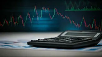 Navigating Smart Investments: Insights & Opportunities