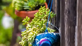 The Native Plant Trend Is Bringing Local Ecology Into Indian Urban Gardening