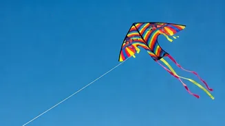 Makar Sankranti Wishes: Festive Greetings & Traditions