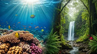 Belize vs. Costa Rica: Unveiling Your Ideal Central American Adventure