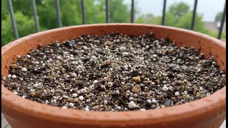 Root Rot Prevention: Why Perlite And Coarse Sand Are Crucial For Balcony Plants Before Heavy Rains