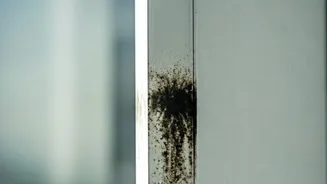 Simple Ways To Prevent Indoor Dampness