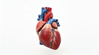 Lower Blood Pressure Naturally in 5 Minutes