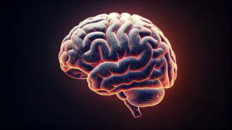 Train Your Brain For Success: Here Are 5 Tips