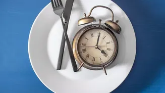Eating During Daylight Hours: How Circadian-Aligned Meal Timing Aids Metabolism