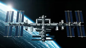 The Best International Space Station Trivia On Your Feed
