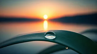 7 Morning Affirmations for a Fresh Start: Reset Your Soul at 5 AM