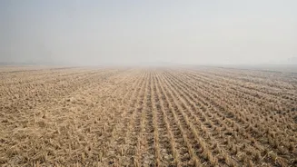 How Researchers Are Measuring Crop-Residue Smoke In India’s Air