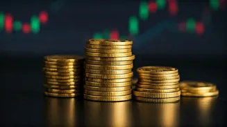 Sectoral Funds: A Retail Investor's Guide to Prudent Investment