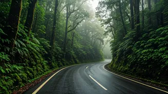 This Monsoon Adventure Feels Straight Out Of A Movie