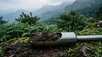 How Kerala's highland health is measured