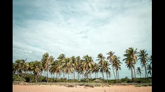 Discover India's Best Winter Beach Destinations