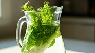 Drink Overnight Fennel Mint Water To Lower Humid Bloating Easily