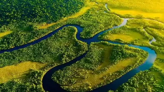 Monsoon Travel In Assam Brings Lush Forests, Rivers And Wildlife Together