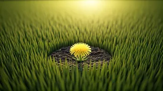 Conquer Lawn Weeds: 8 Proven Methods for a Pristine Yard