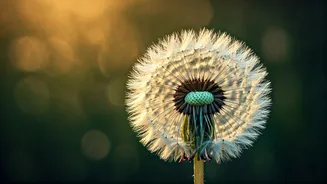 Related Stories banner