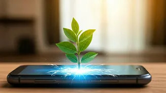 Screen Addiction: A Teen's Recovery Story