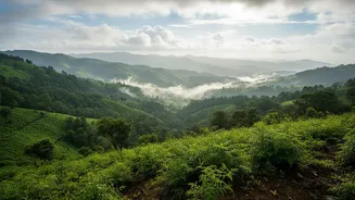 Why Lush Rainy Spots Close To Tier 2 Cities Are Perfect For Short Breaks