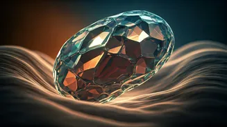 Unveiling the Tiny Threat: Understanding Toxoplasma Gondii in Your Cat's World