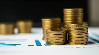 JioBlackRock Flexi Cap Fund: Portfolio Analysis & Insights