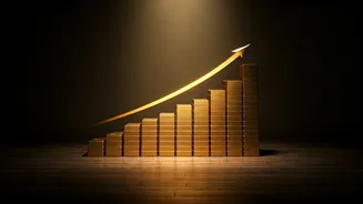 Border 2: Box Office Soaring High in India!