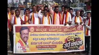 Karnataka Bandh: Over 20 Detained After Protesters Attempt Highway Blockade At Attibele