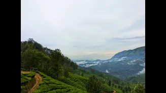Best Hill Stations Near Delhi for Cleaner Air