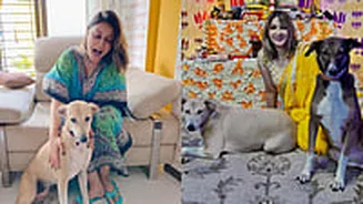 Urvashi Dholakia Slams Trolls Questioning Her Support For Stray Dogs After SC Order: 'Your Negativity & Petty Thoughts...'
