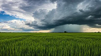 Track Steady Advancement Of Monsoon Winds Moving Across States