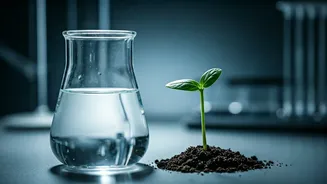 Hydration Hurdles: Why Your Body Isn't Absorbing Water Properly & How to Fix It