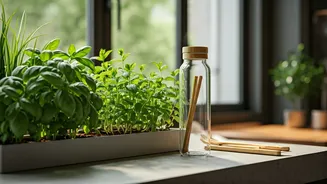 Indian Digital Nomads Move To Zero-Waste Hubs In Thailand