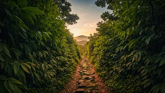 Ditch City Crowds This Weekend For Off Grid Wayanad Treks