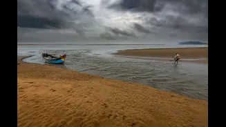 El Niño Disrupts Pacific Marine Food Web, Impacts Indian Monsoon