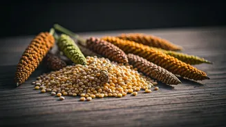 Fresh Millet Recipes Are Worth Trying This Week