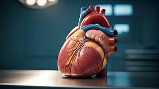 Sudden Cardiac Arrest in India: Prevention is Key