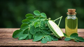 Moringa Can Help Your Hair Grow Faster.
