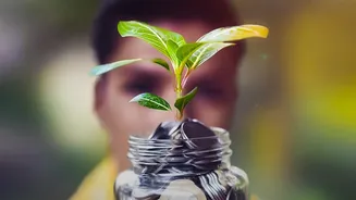 What Salaried Indians Should Know About EPF And NPS Retirement Contributions