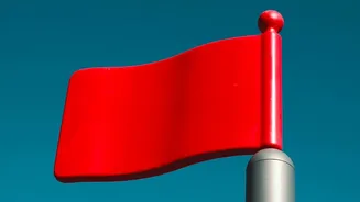 Shopping During Festive Sales? These 7 Red Flags Can Help Spot Fraud