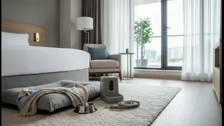 A Good Pet-Friendly Stay Makes Feeding, Walking And Cleaning Easier