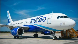 IndiGo shares surge 10%: What's behind today's rally?