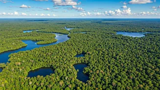 Unforgettable Brazilian Adventures: 11 Must-Do Experiences