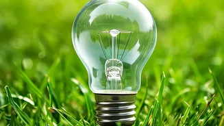 Genetically Modified Plants As Streetlights: Green Innovation Cuts Municipal Electricity Usage
