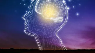When AI Agents Talk To Each Other, Their Language Can Drift From Ours: The Key Qualification To Keep In Mind