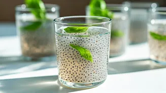 Unlock a Month of Wellness: The Surprising Effects of Daily Sabja Seed Water